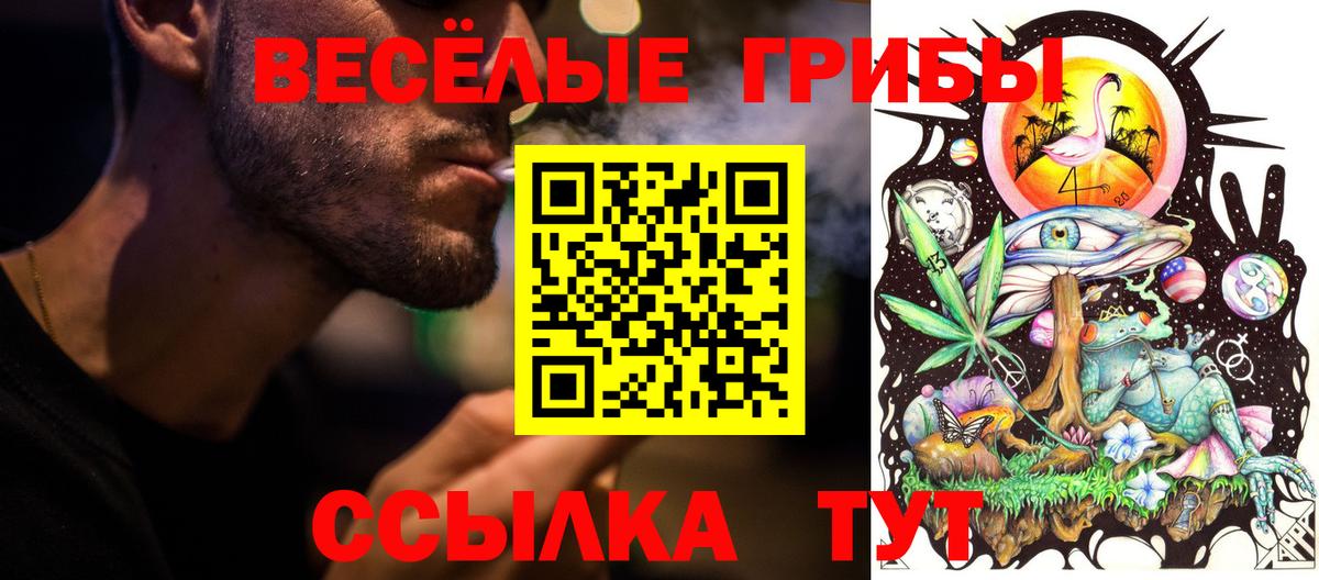 Псилоцибиновые грибы прущие грибы  дарнет шоп  Советская Гавань  Вход с VPN 