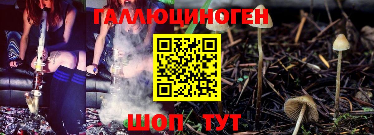 Псилоцибиновые грибы Magic Shrooms Советская Гавань